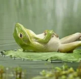 Relax Comfort Materassi Acqua